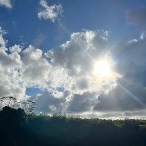 Meet your Posher, Jodi